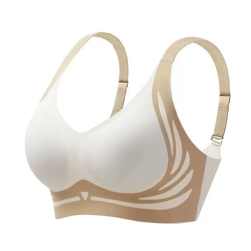 고품질 통기성 스포츠 브라 여성용 일상 편안한 처짐 방 - Wirefree Bra Comfort 리뷰 및 가격